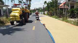 Hoi An - Rice Harvest