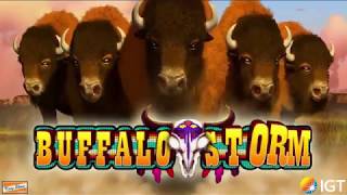 Buffalo Storm™ Video Slots by IGT - Game Play Video screenshot 1