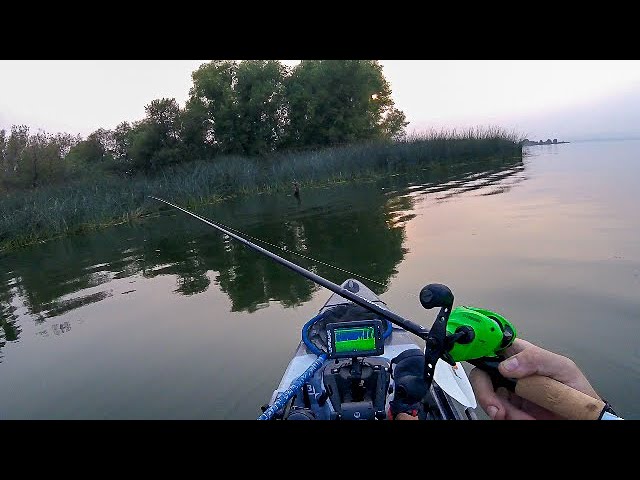 Omen Panfish/Trout Spinning Rod