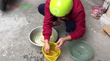 Cúng ông Táo 23 tháng chạp đưa cá chép về trời