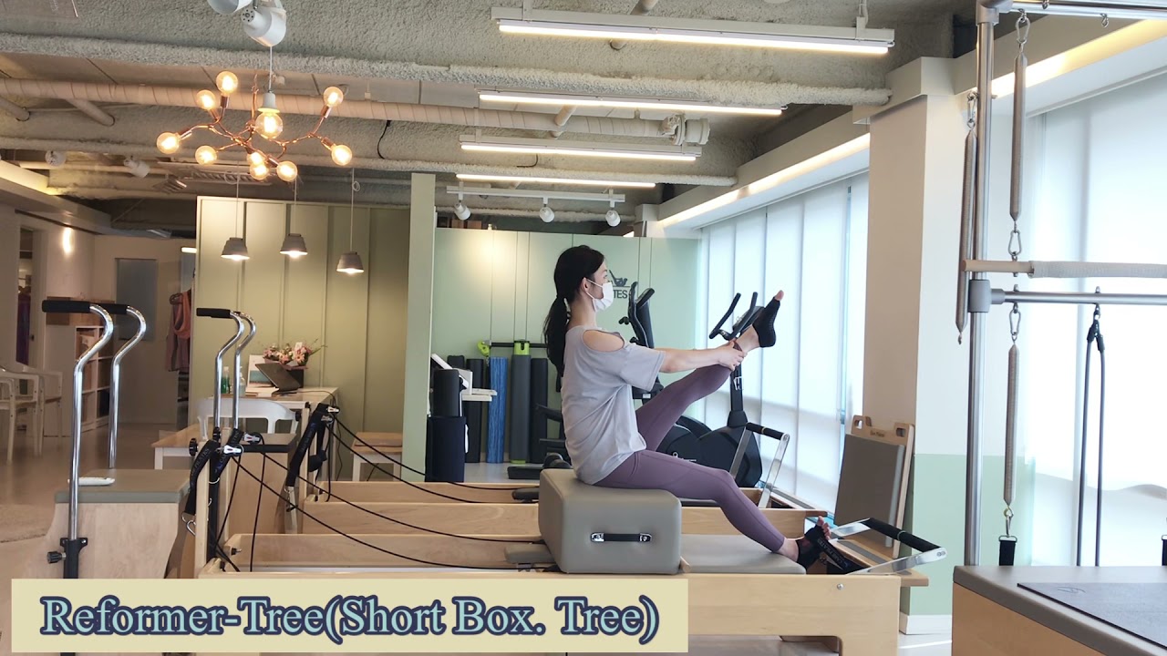 [캐나다필라테스]Reformer- Tree(Short Box, Tree)