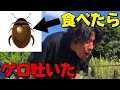 【ついに嘔吐】 ほぼゴキブリ食べて ゲロ吐いたwww 負けたら 即虫食う 旅in浜松 #3