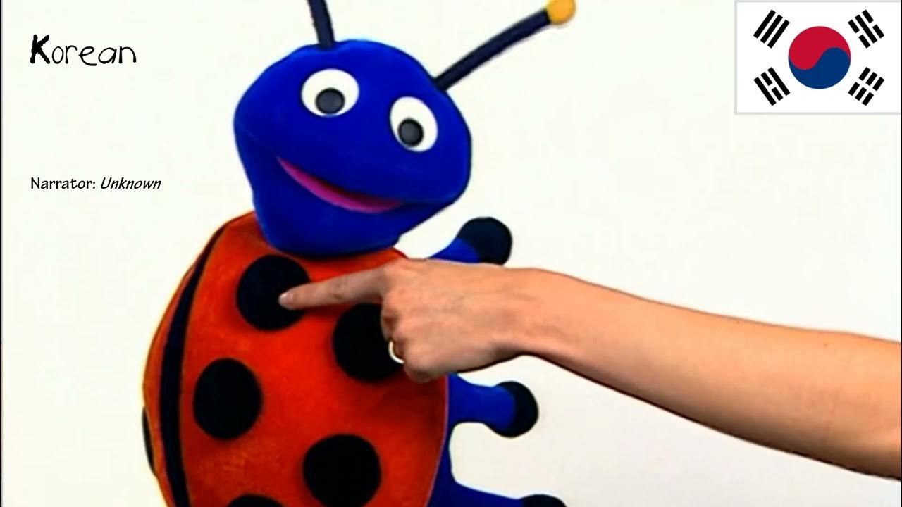 Baby Einstein Numbers Nursery Ladybugs Spots One Line