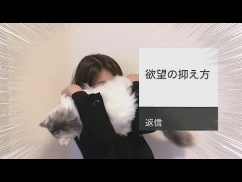 葛西美空が全力で応えよう