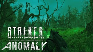Why I HATE Stalker Anomaly