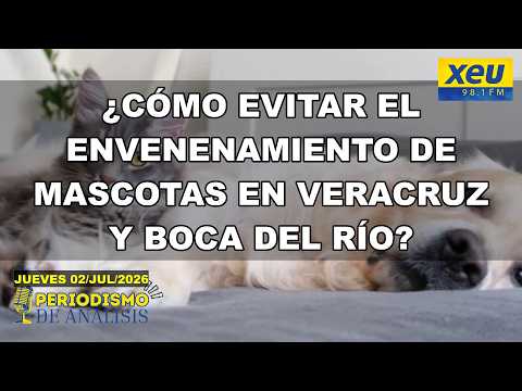 ¿Cómo evitar el envenenamiento de mascotas en Veracruz y Boca del Río? 