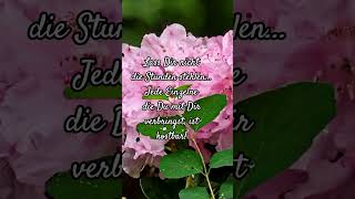 Stunden des Glücks mit Dir #liebe #lebensweisheiten #lyrik #sprüche #leben