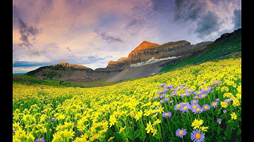 سورة الروم بصوت إبراهيم عساكرة