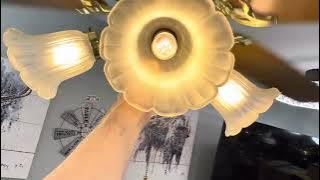 NCFD ceiling fan display 2025