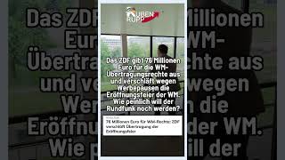 Das ZDF ist einfach peinlich #shorts #afd #politik #deutsch #zdfheute