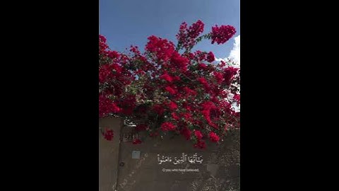 إن الله وملائكته يصلون على النبي ﷺ #سعود_الشريم #تلاوة_خاشعة #ارح_قلبك #النبي_صلى_الله_عليه_وسلم