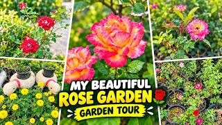 Heavenly Rose Garden Tour Amazing Colors & Beauty | October 2026