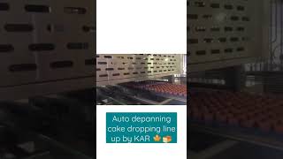 auto depanning by KAR 🍁🍞 #depanning #bakery #kar #bakerymachines #bakerylife #cake #oven #cookies