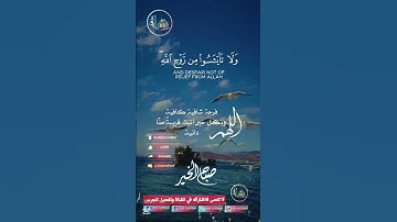 #دار_القرآن #القرآن_الكريم #تلاوة_صوت_جميل_عذب #اكسبلور #dar_alkoran #duet #دويتو #راحة_نفسية