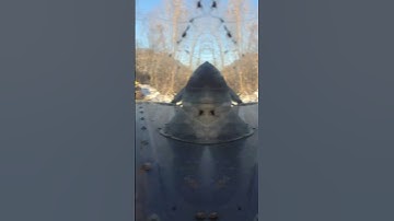 #logging #wv #skidder #johndeere #bluecollar