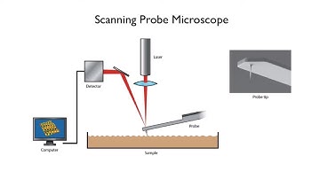 Atomic Imagery & The Scanning Probe Microscope | Arbor Scientific