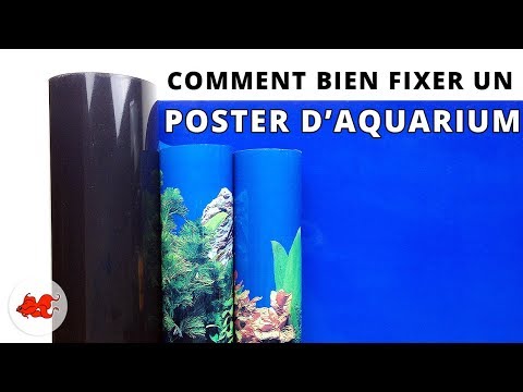 Vidéo: Comment Coller Le Fond Dans L'aquarium