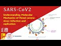 Understanding Molecular Mechanics of Novel corona-virus SARS-CoV2: Infection and replication