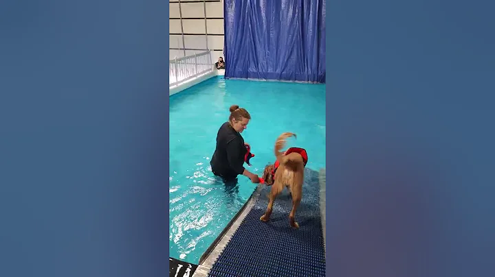 Hanks swimming lesson