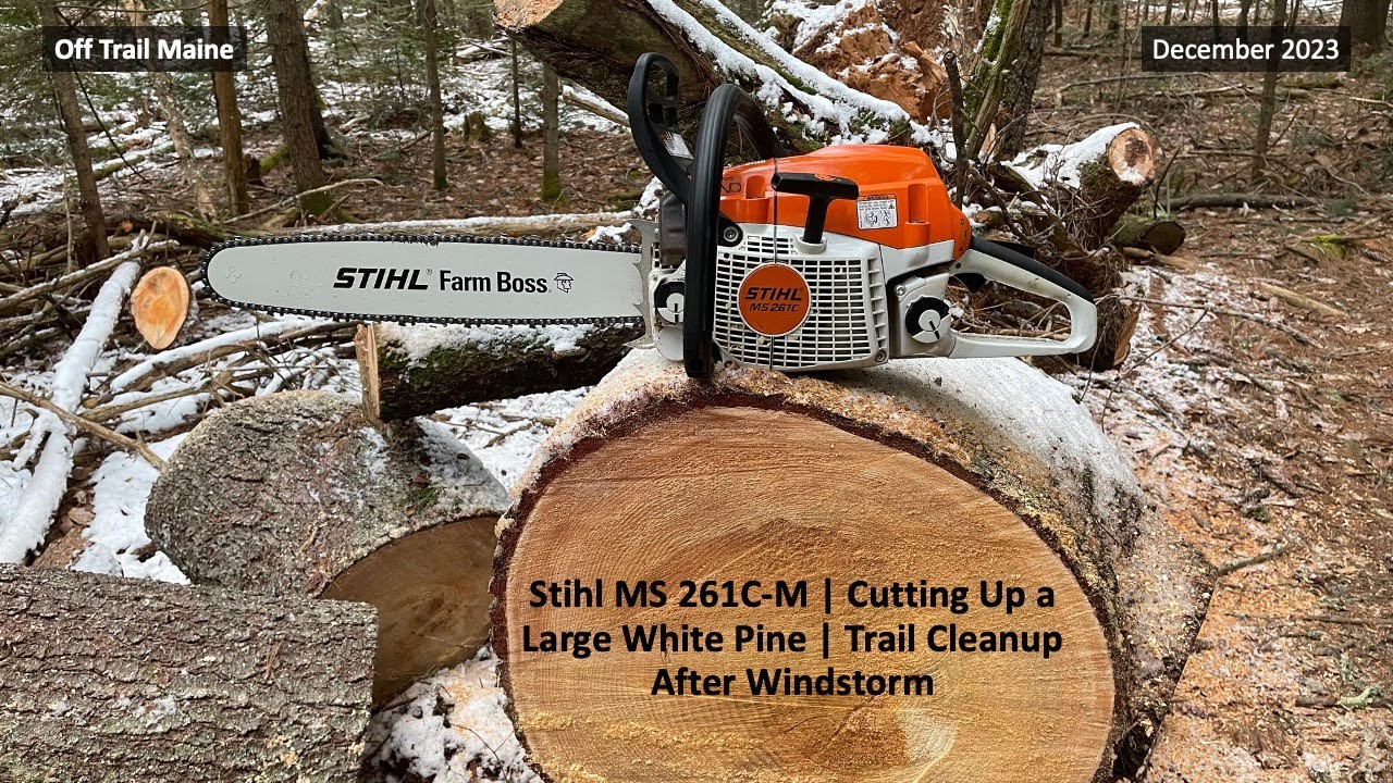 Stihl MS 261C M | Cutting Up a Large White Pine | Trail Cleanup After ...