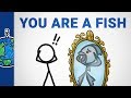 You Are A Fish