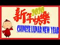  chinese lunar new year  2020  cat shabo