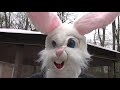 Easter Bunny 2019