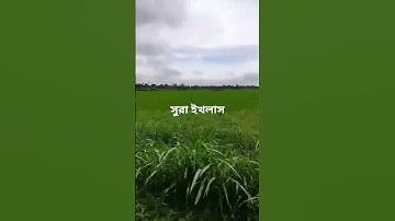 সুরা ইখলাস #egzonibrahimi #سورة_الإخلاص #ikhlas #hadisbangla #islamicquotes #astaghfarkifazeelat