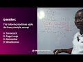 QUESTION ON LEVER ( SHORTCUTS) #education #physics#fypシ゚viral #exam #everyonefollowers #tutorial 