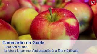 Dammartin-en-Goële ► [Vidéo] Pour ses 30 ans, la foire à la pomme s'est associée à la fête médiévale