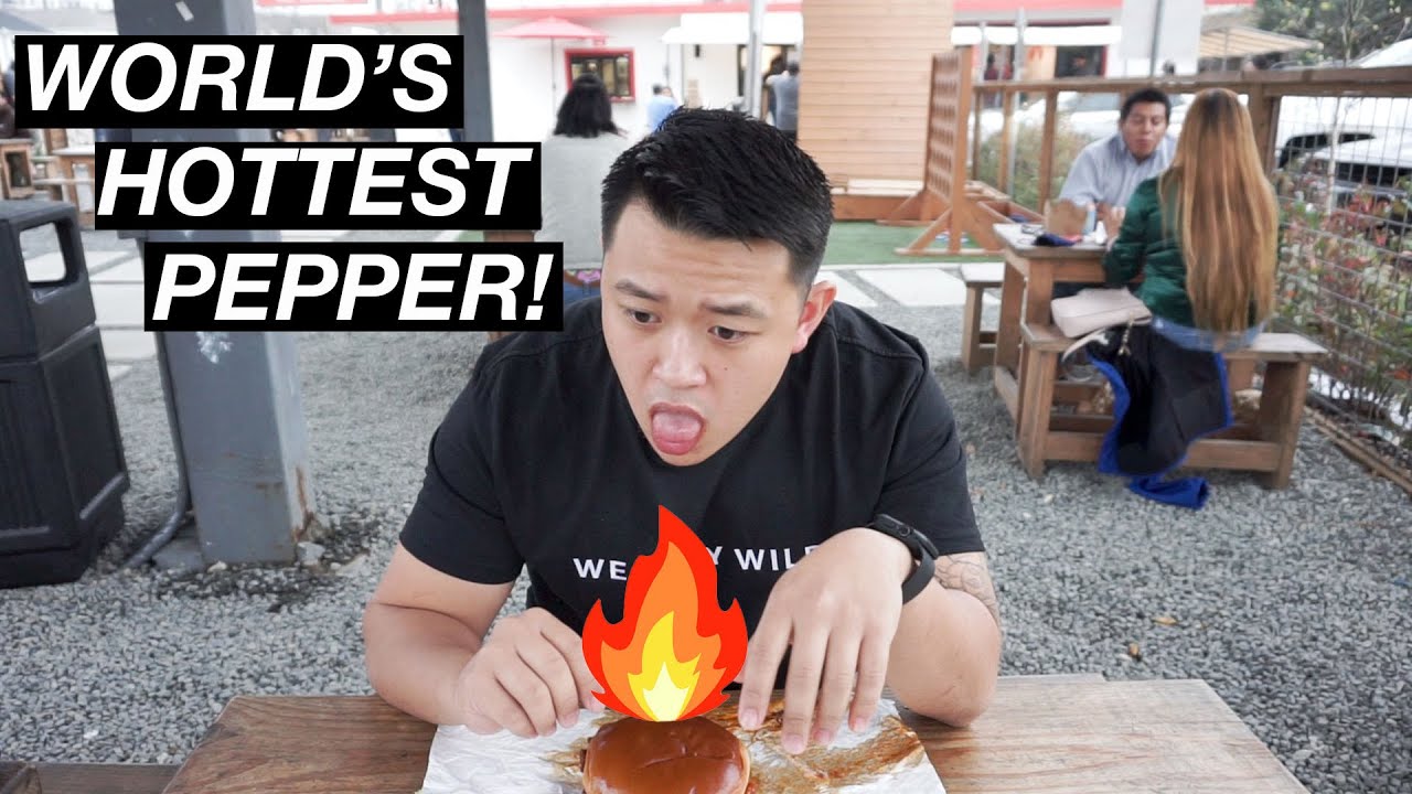 WORLD'S HOTTEST PEPPER CHICKEN SANDWICH: WHERE DAT AT?! (MICO HOT CHICKEN)