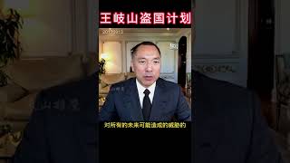 王岐山的盗国贼计划,以黑反贪,以贪反贪!#郭文贵爆料 #王岐山 #孟建柱