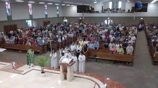 Thirteenth Sunday in Ordinary Time | XIII Domingo Ordinario