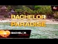 Season 3 Theme Song - Bachelor in Paradise