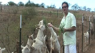 These 11 Facts Prove Why Farmers Market Shopping Is Better