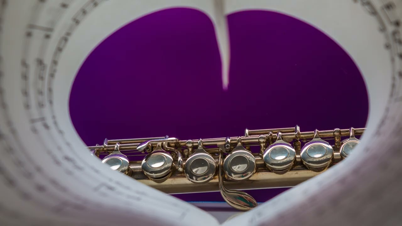 Johann Pachebel - Canon In D (Violin/Viola) (instrumental solo)