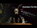 Springtrap Remembers The Pain... | Q&A Part 2