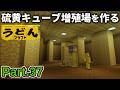 【マイクラ実況】硫黄でBackrooms風の無限硫黄キューブ増殖場を作っていく【ウドンクラフト5】Part37
