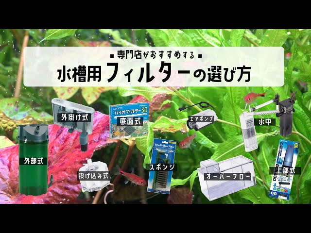 上部濾過式アクア水槽　アクアリウムにも最適！ 2025年・プロが選ぶ・水槽用上部フィルターおすすめトップ7と選定の