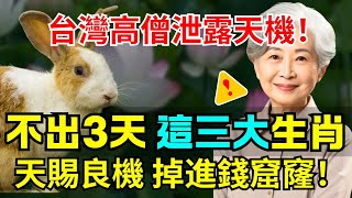 台灣高僧泄露天機不出3天這三大生肖  天賜良機掉進錢窟窿 #財富 #生肖 #zen