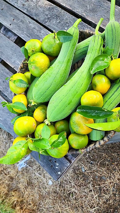 Nothing beats organic, homegrown fruits fresh from the tree #plantitalyninoz #kahalaman