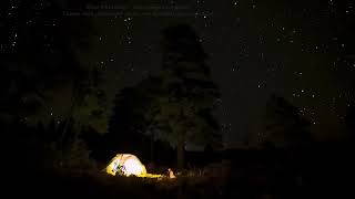 Звуки природы  Ночная атмосфера  Звуки костра, сверчков, звуки обитателей лесной природы