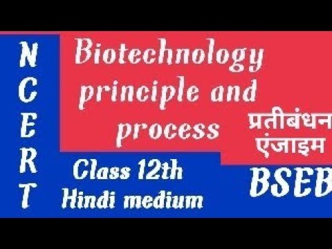 restriction enzyme in hindi|| biotechnology principle and process class 12th