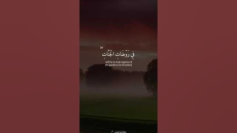 #تلاوة_خاشعة #اكسبلور #المصحف #like #القرآن_الكريم #لايك #الرحمن