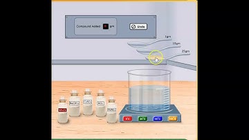 Solubility Lab Demo
