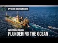 Industrial Fishing: Plundering the Ocean