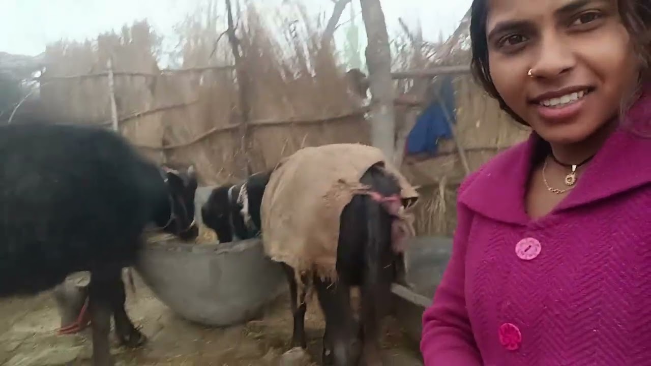 प्रेम के ब्लॉक 46 देखो क्या दिख रही है