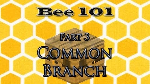FTB: The Common Branch (Bee 101 Pt. 3)