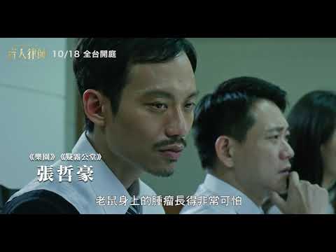 盲人律師電影預告2019年最感動最娛樂最收穫的強檔國片