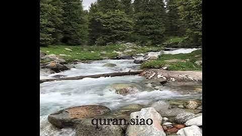 (إِنَّ اللَّهَ وَمَلَائِكَتَهُ يُصَلُّونَ عَلَى النَّبِيِّ ۚ) القارئ عبدالله الموسى